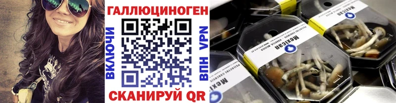 Галлюциногенные грибы Cubensis  купить наркотик  Черняховск 