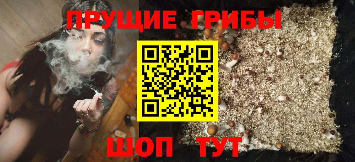 Черняховск  Галлюциногенные грибы мухоморы  Вход с VPN 